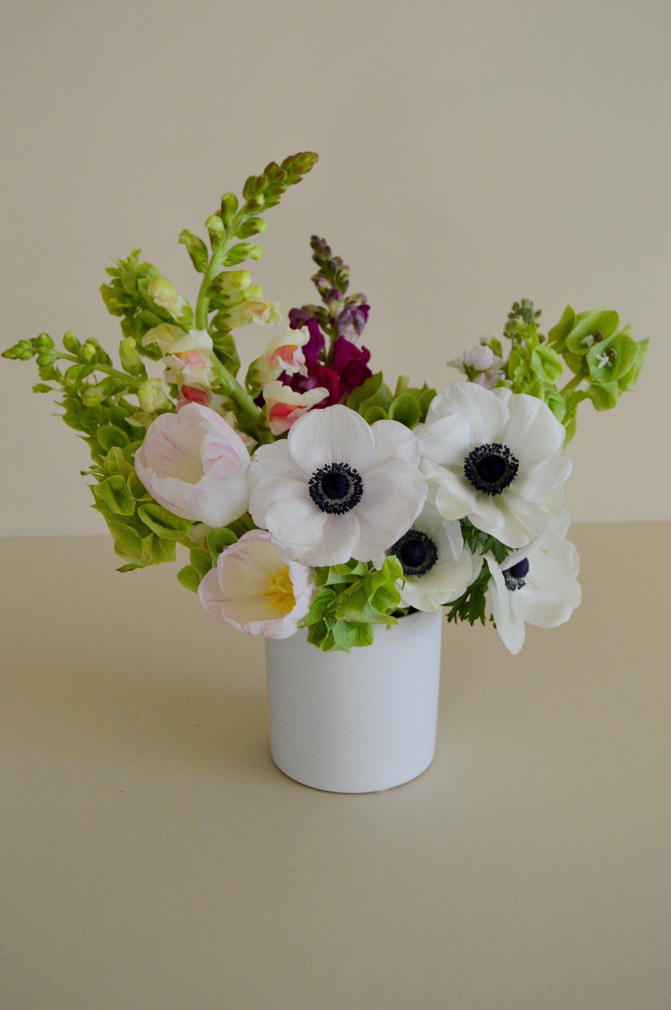 Tandi Pot + Blooms