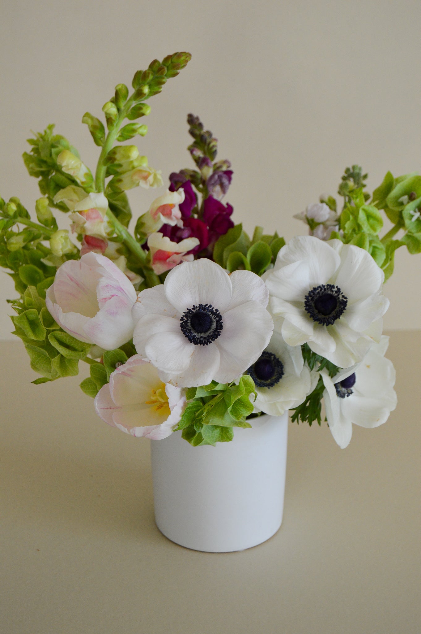 Tandi Pot + Blooms