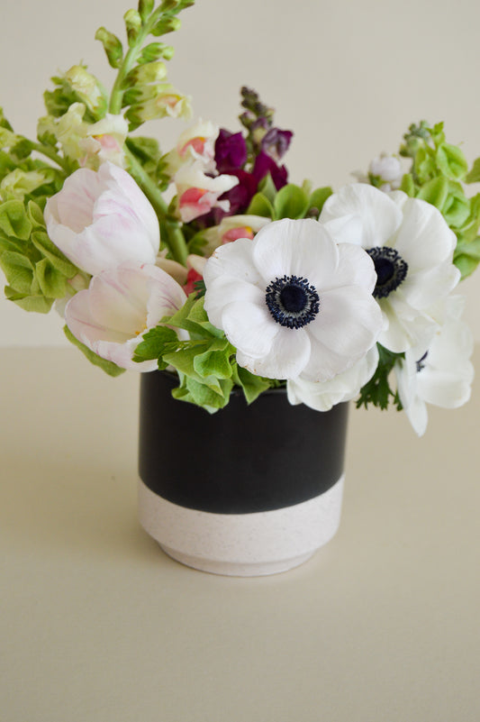 Bodi Pot + Blooms